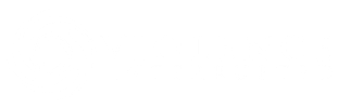 Violence Interrupted logo